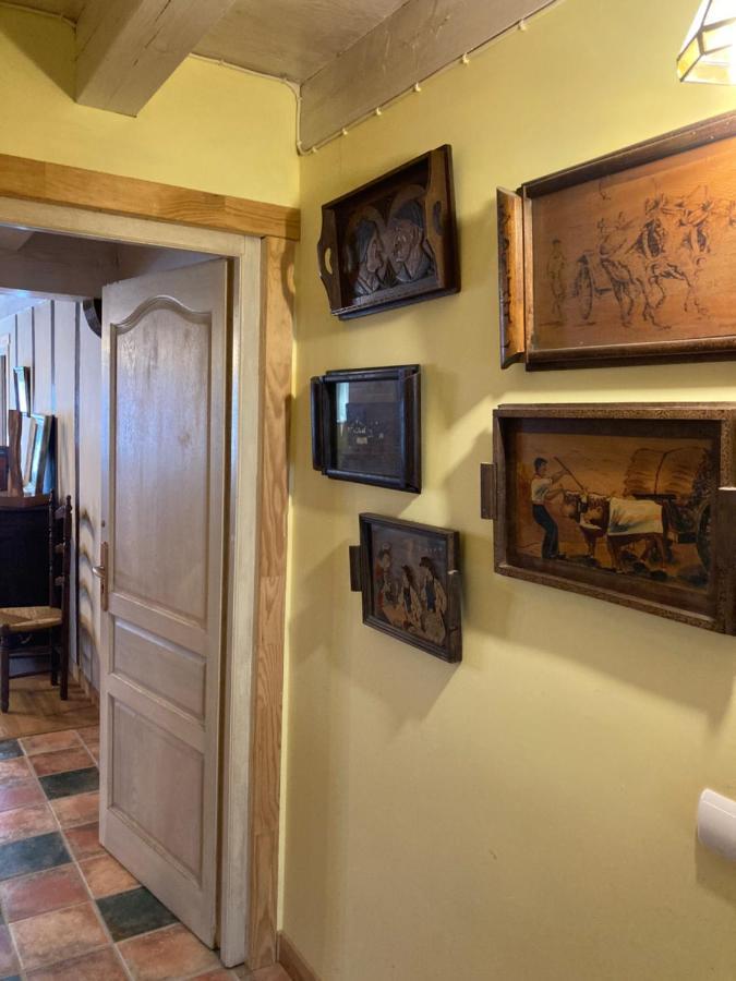 Agotxenea. Precioso Apartamento Rural En El Baztan Maya del Baztán Екстериор снимка