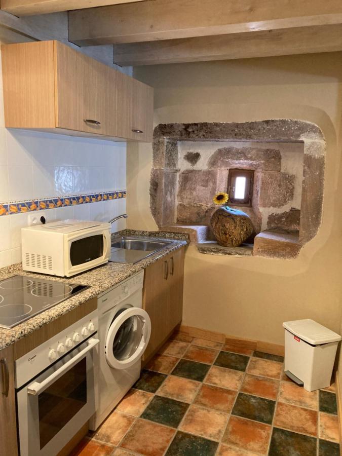 Agotxenea. Precioso Apartamento Rural En El Baztan Maya del Baztán Екстериор снимка